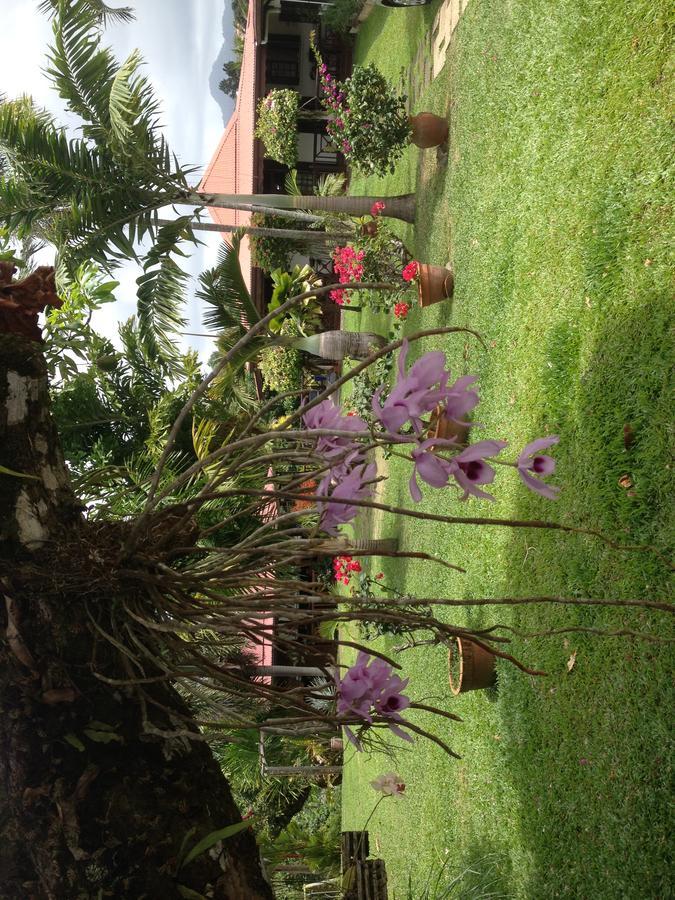 Le Bungalow Des Bougainvilliers Ducos Exterior foto
